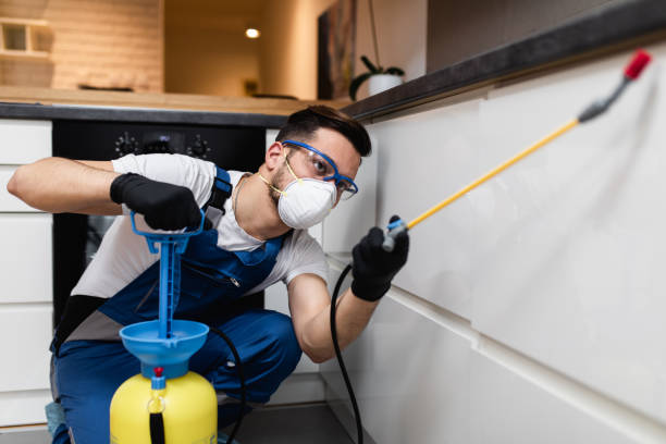 Best Residential Pest Control  in Buford, GA