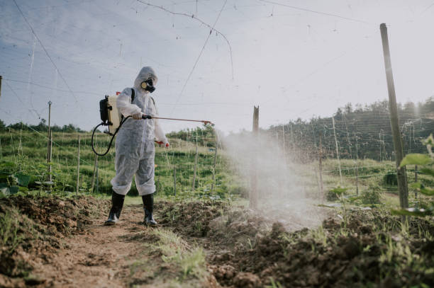 Best Pest Control Cost  in Buford, GA