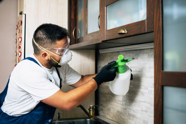 Best Affordable Pest Control Services  in Buford, GA