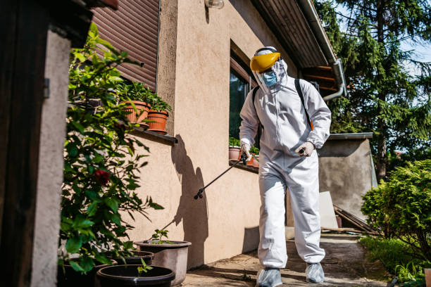 Best Wasp Removal Services  in Buford, GA