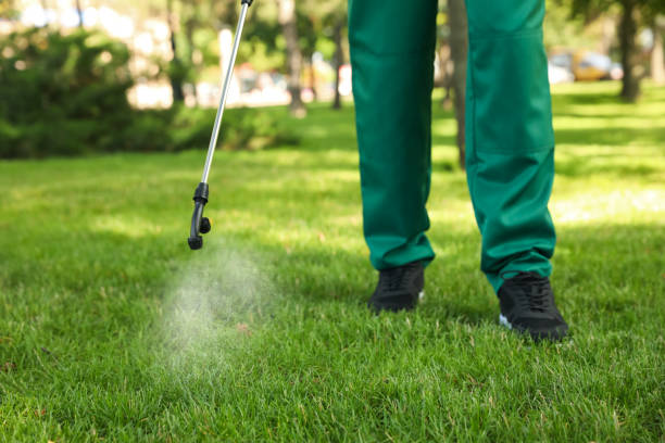 Best Mosquito Control Services  in Buford, GA