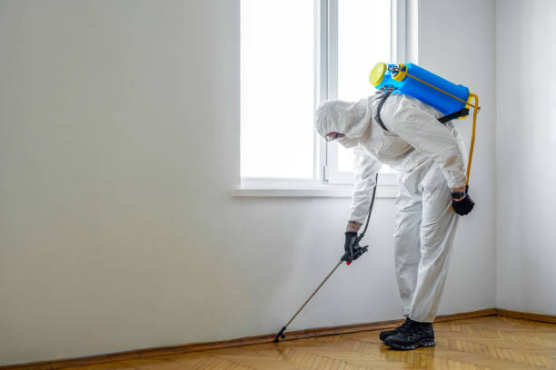 Best Wasp Removal Services  in Buford, GA