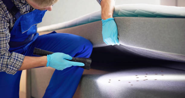 Best Pest Removal Services  in Buford, GA