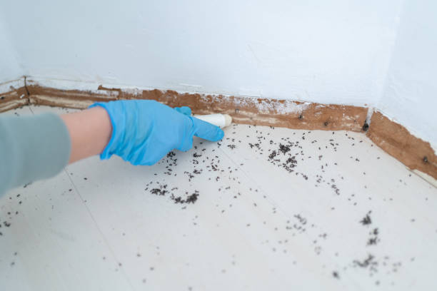 Buford, GA Pest Control Company